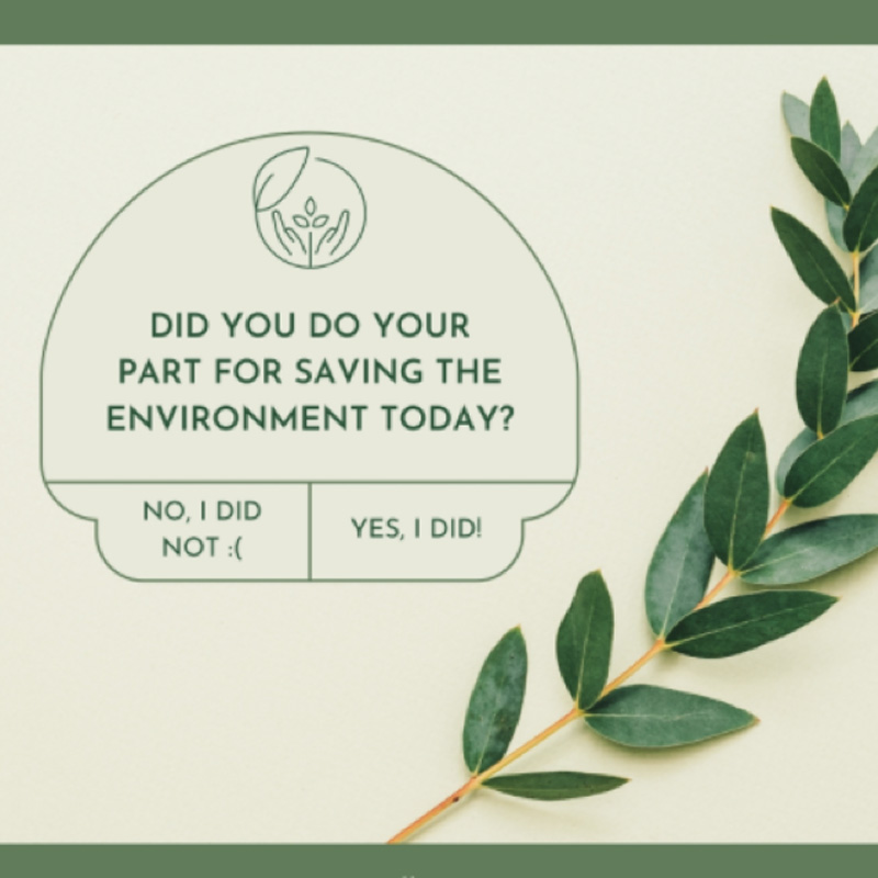 Sustainable Carpet Cleaning And Flooring